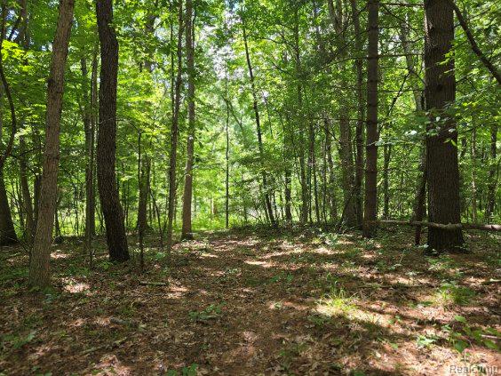 4202 Kingston Road Property Photo 36