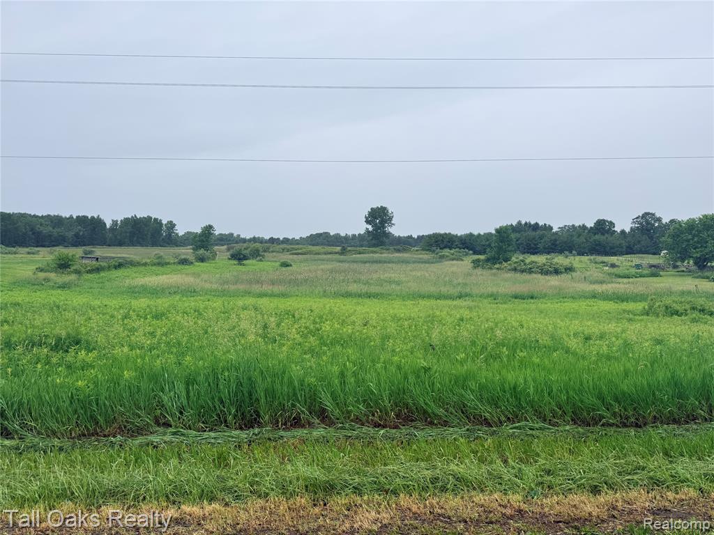 761 Millington Road Property Photo 1