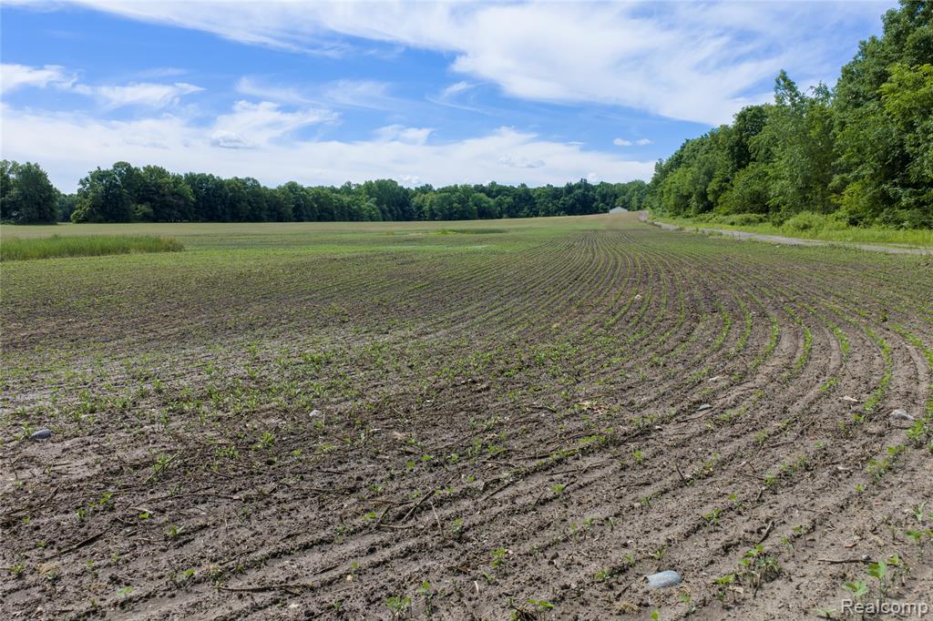 10069 Silver Lake Road Property Photo 12