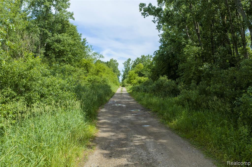 10069 Silver Lake Road Property Photo 13