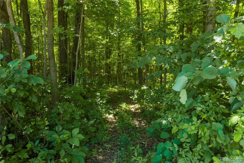 10069 Silver Lake Road Property Photo 25