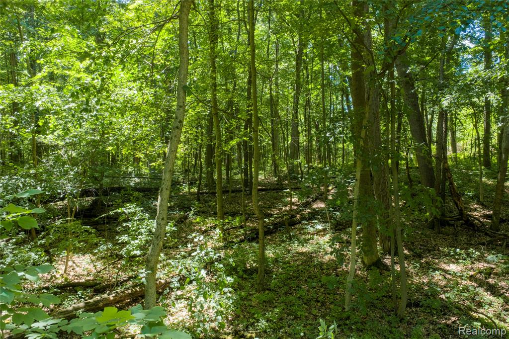 10069 Silver Lake Road Property Photo 26