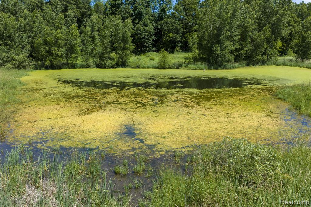 10069 Silver Lake Road Property Photo 27