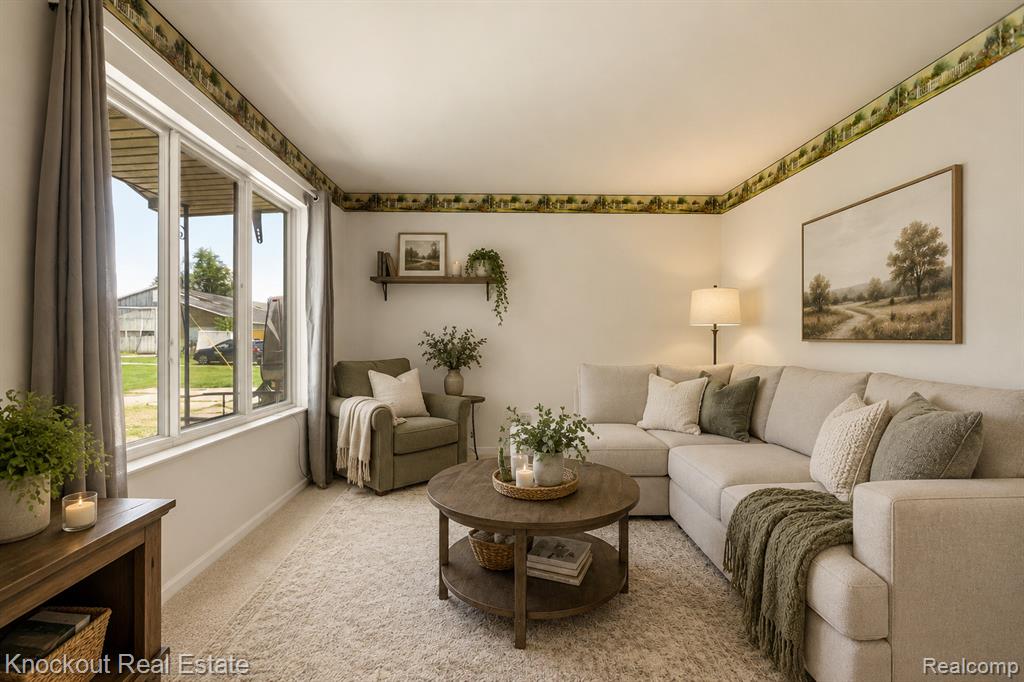 4585 Birch Run Road Property Photo 8