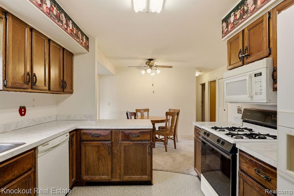 4585 Birch Run Road Property Photo 20