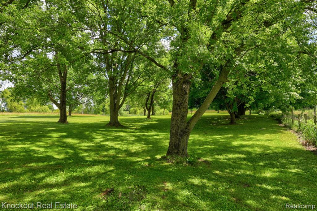 4585 Birch Run Road Property Photo 44