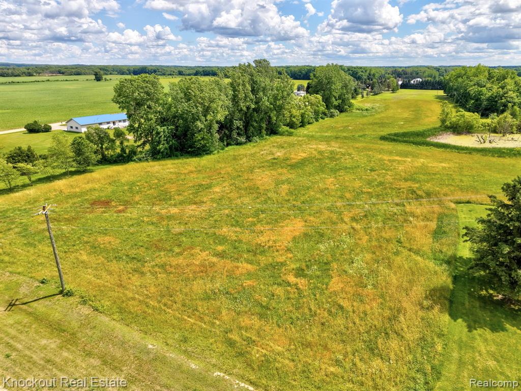4500 Birch Run Road Property Photo 6