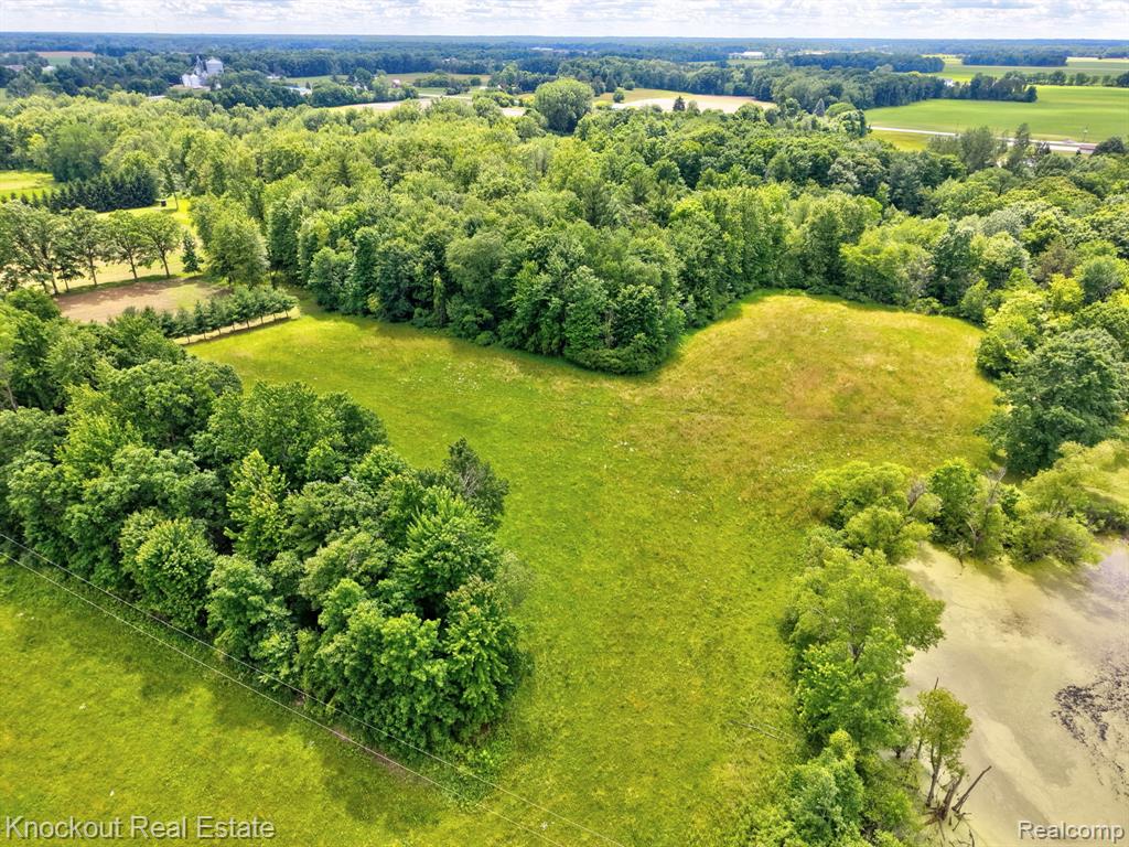4500 Birch Run Road Property Photo 12
