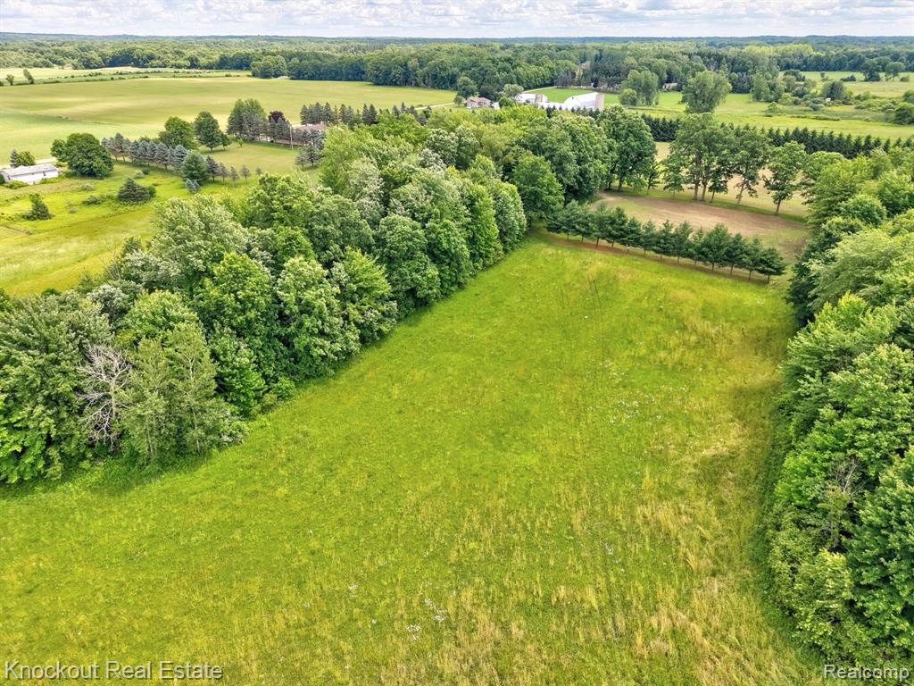 4500 Birch Run Road Property Photo 13