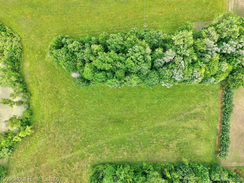 4500 Birch Run Road Property Photo 14