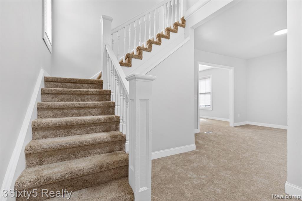 14 Myrtle Street Property Photo 5