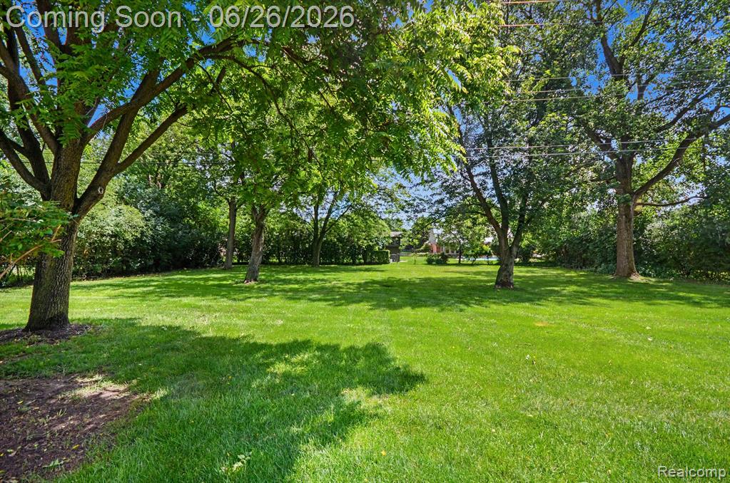 24474 Springbrook Drive Property Photo 27