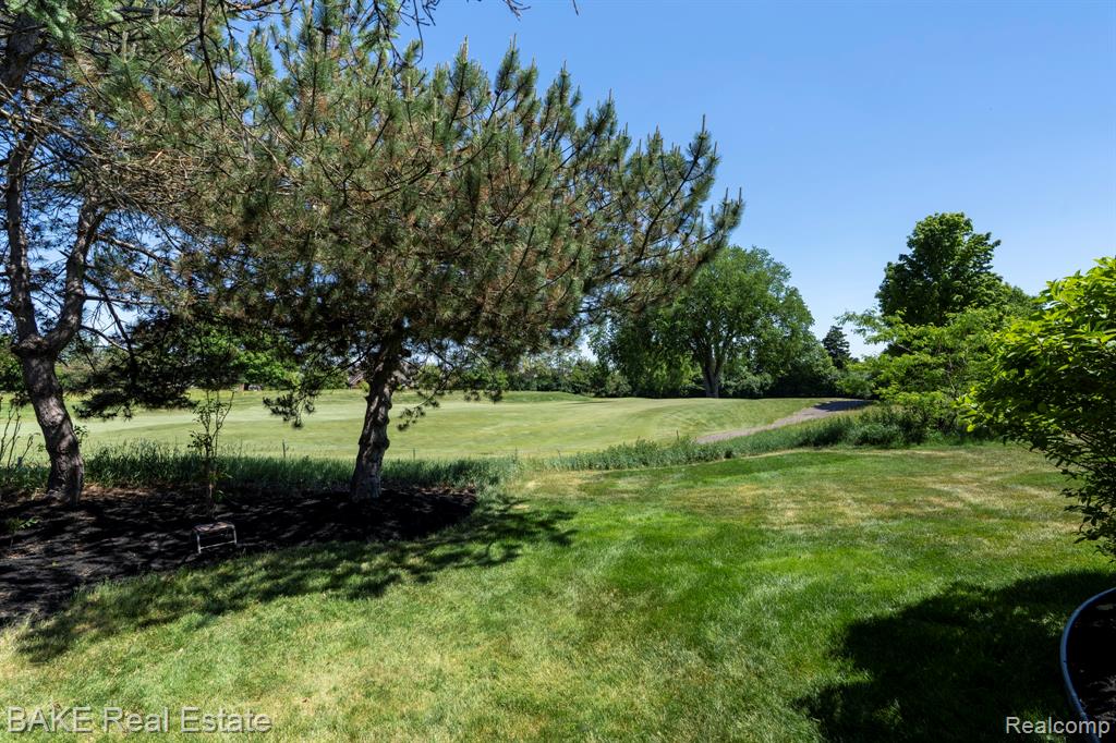 15396 Bay Hill Drive Property Photo 11
