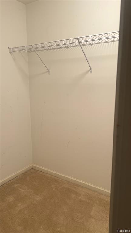 14303 Vauxhall Drive Property Photo 33