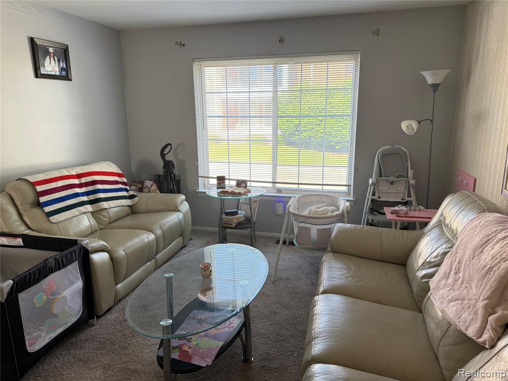 25354 Shiawassee Circle Property Photo 6