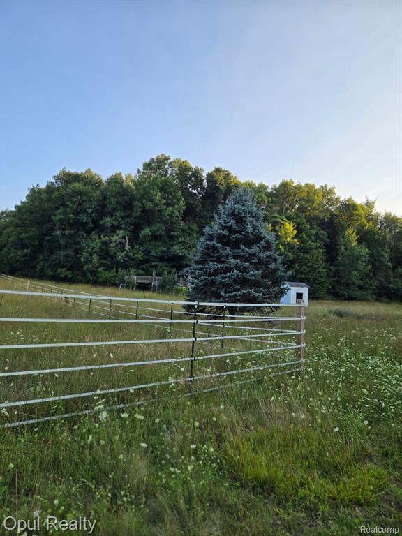 7503 Reading Road Property Photo 47
