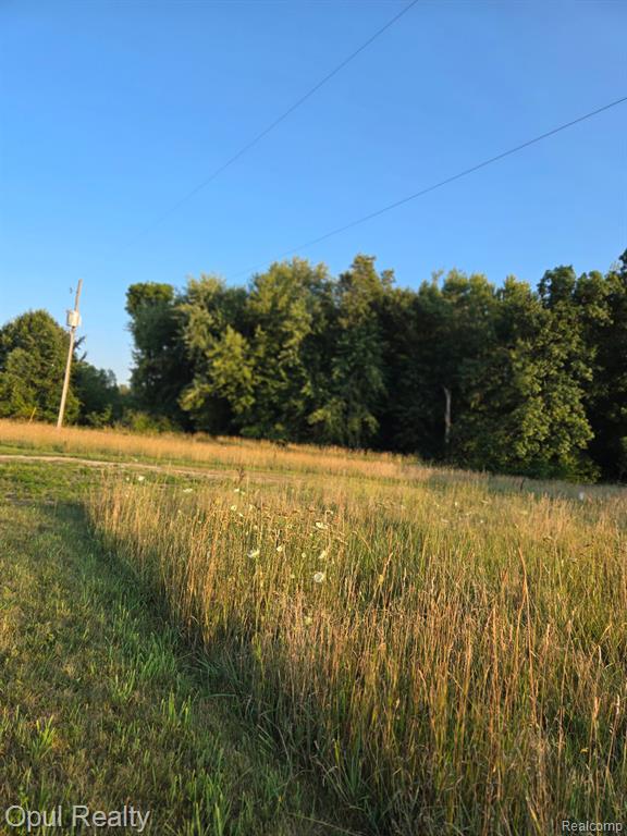 7503 Reading Road Property Photo 54