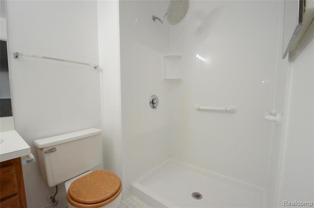 42803 Lilley Pointe Drive Property Photo 15
