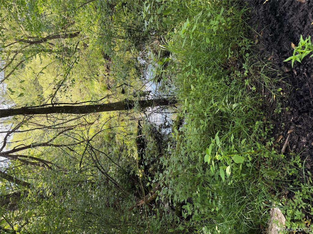 00 Ripple Way Property Photo 36