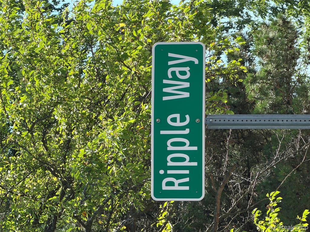 00 Ripple Way Property Photo 41