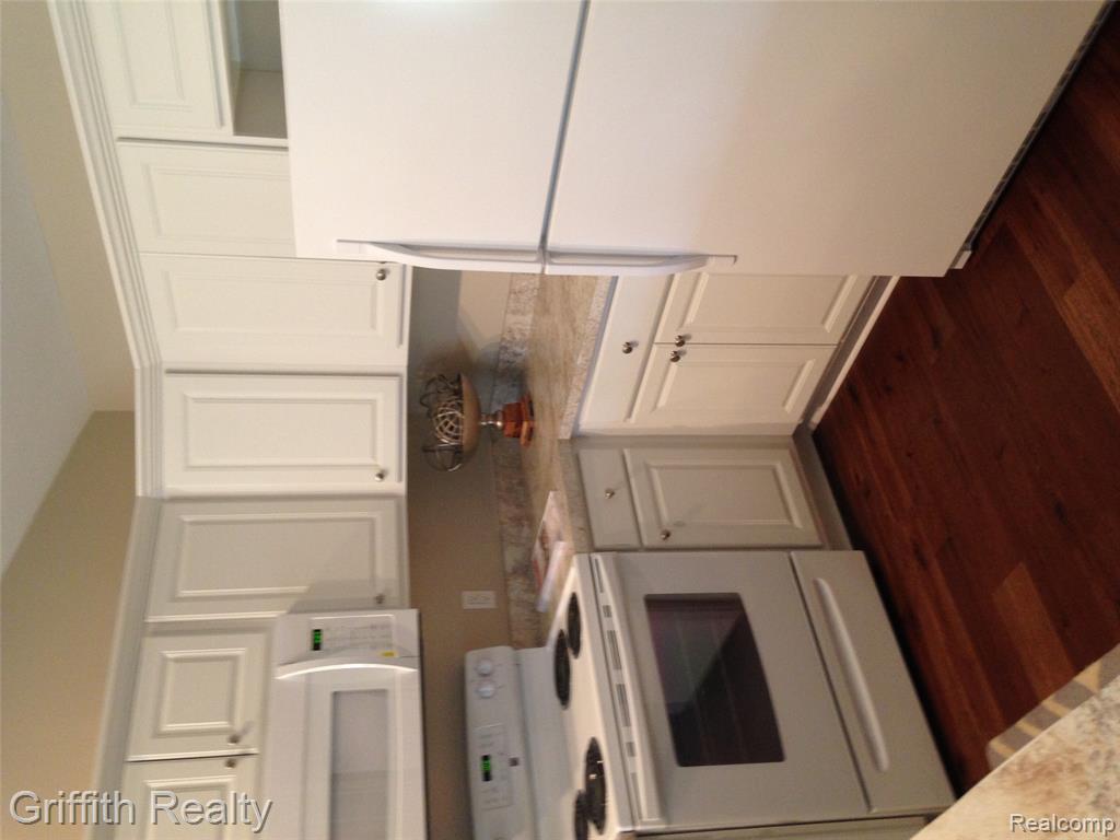 315 E Grand River Avenue Property Photo 13