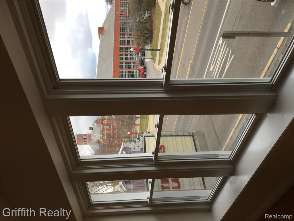 315 E Grand River Avenue Property Photo 19