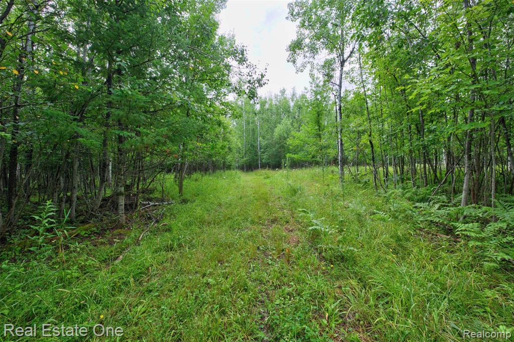 7250 Artesian Trail Property Photo 70
