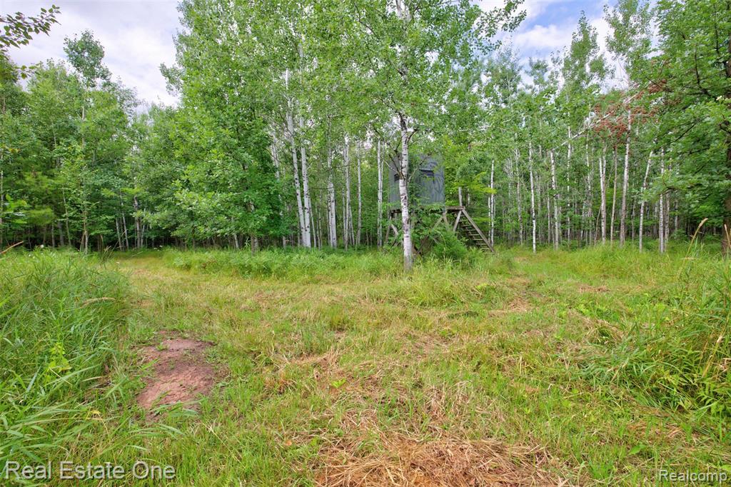 7250 Artesian Trail Property Photo 71