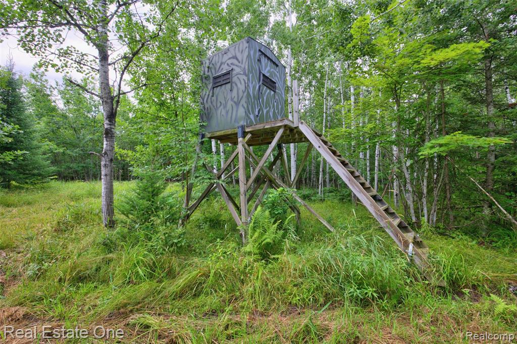 7250 Artesian Trail Property Photo 72
