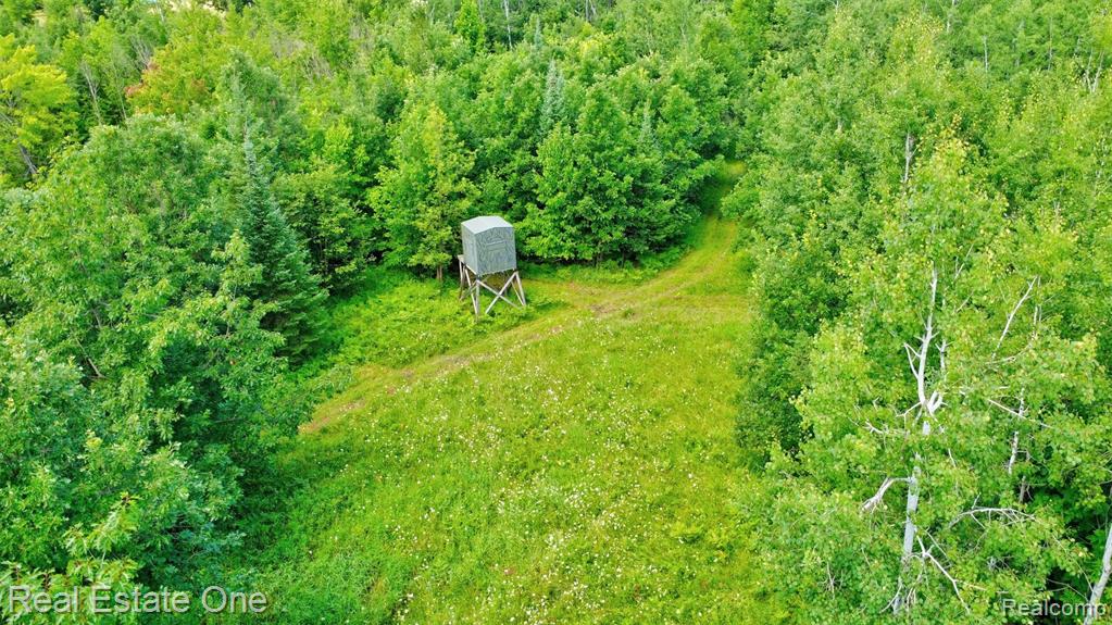 7250 Artesian Trail Property Photo 92