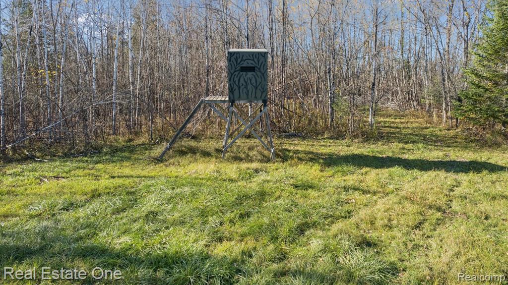 7250 Artesian Trail Property Photo 94