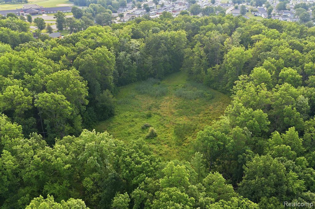 5296 County Line Road Property Photo 7