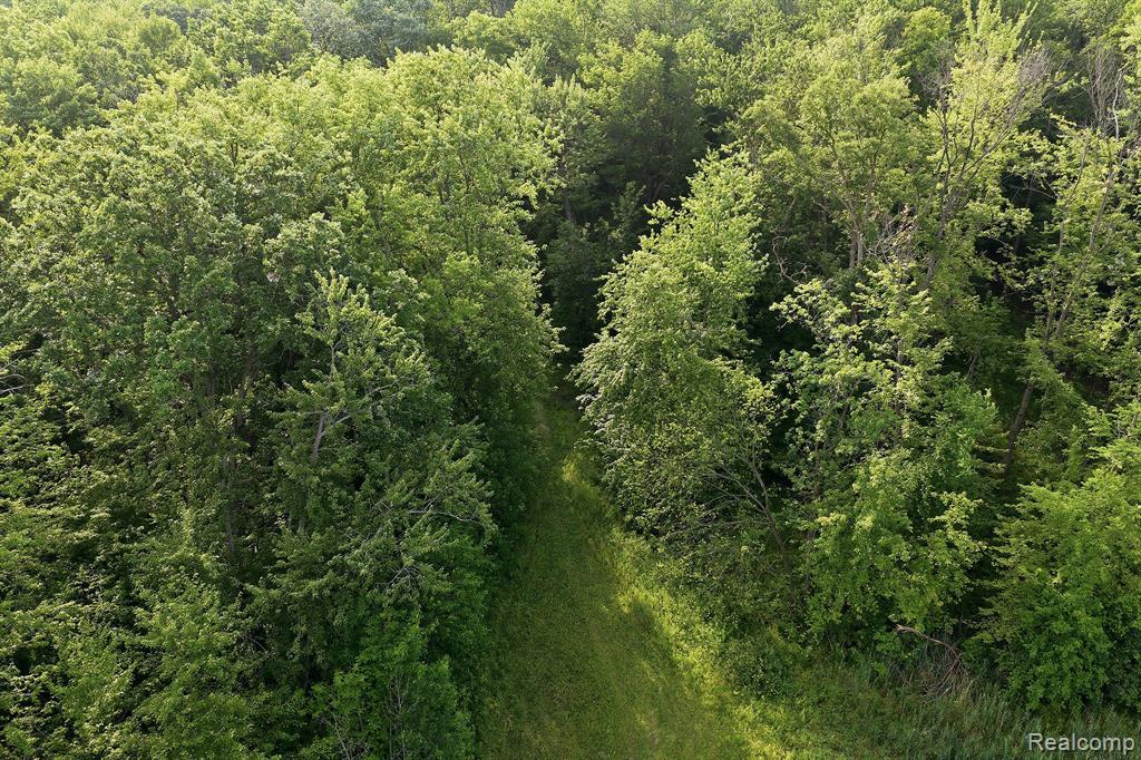 5296 County Line Road Property Photo 8