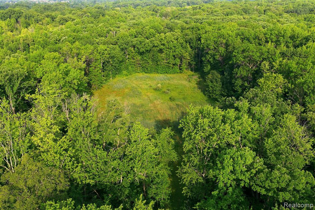 5296 County Line Road Property Photo 9