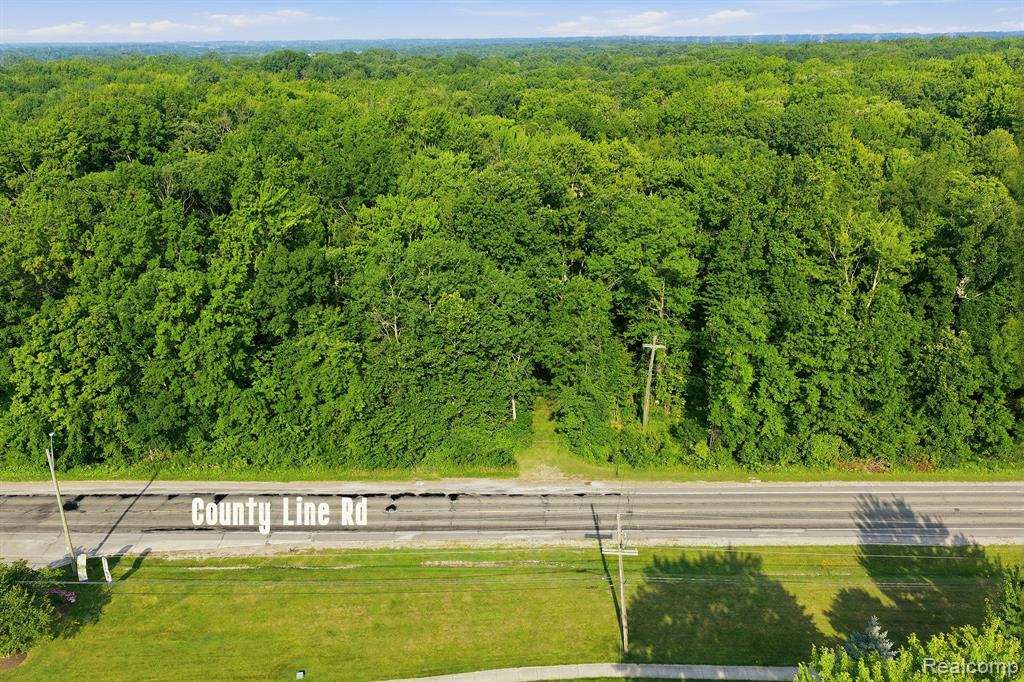 5296 County Line Road Property Photo 10