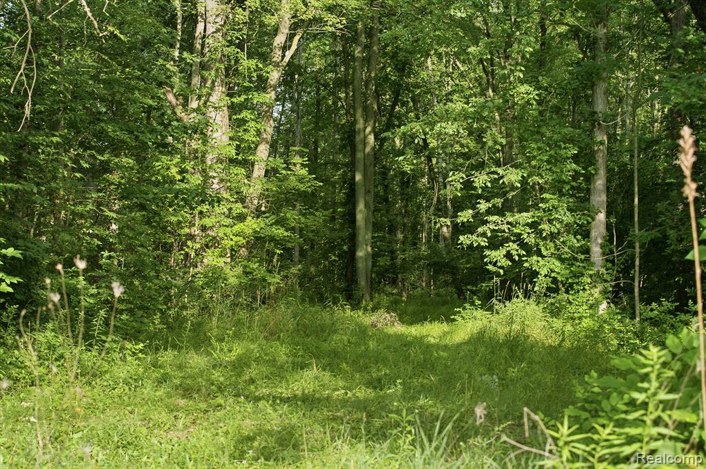 5296 County Line Road Property Photo 11