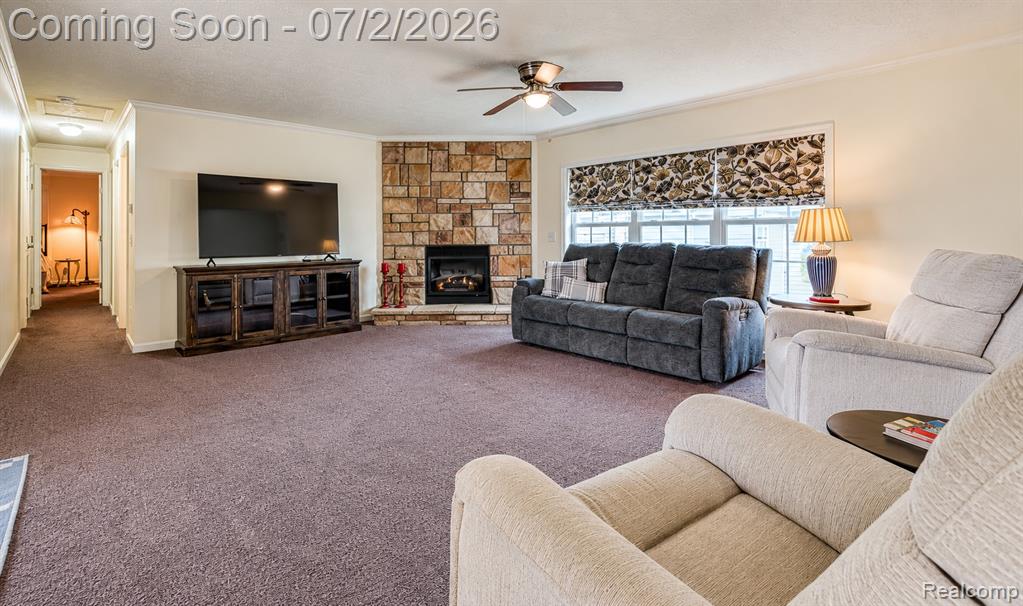 29703 Vinewood Lane Property Photo 5