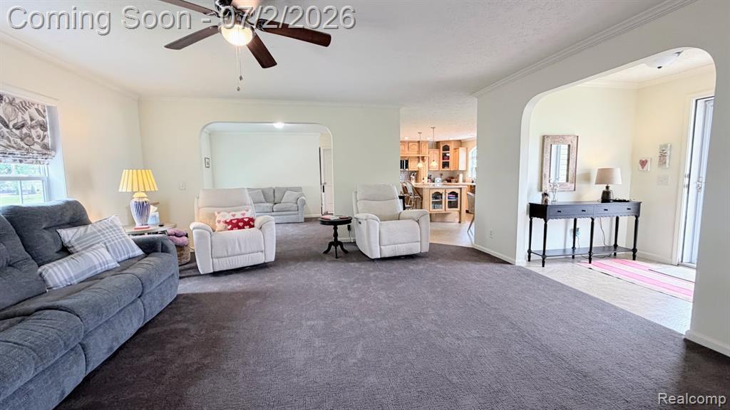 29703 Vinewood Lane Property Photo 6