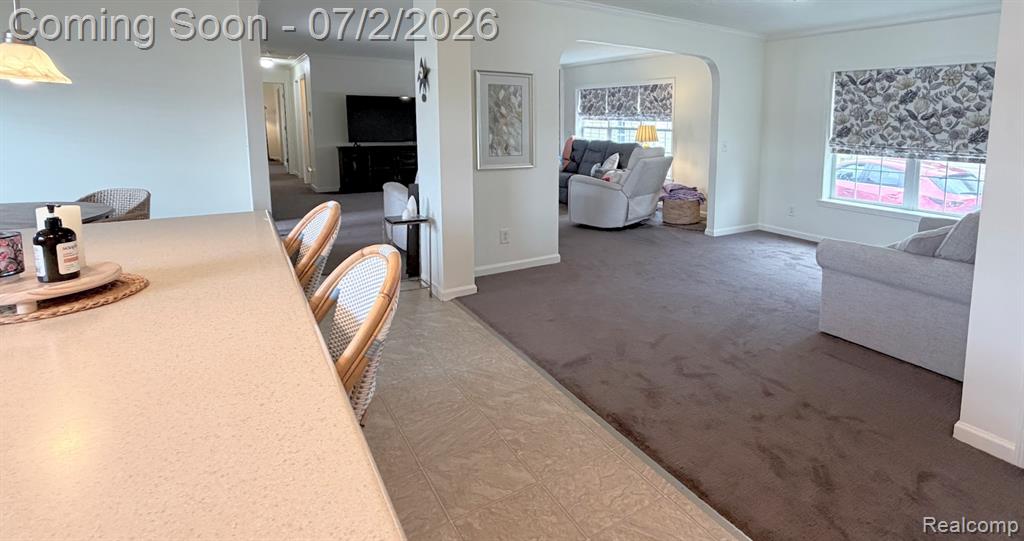29703 Vinewood Lane Property Photo 8