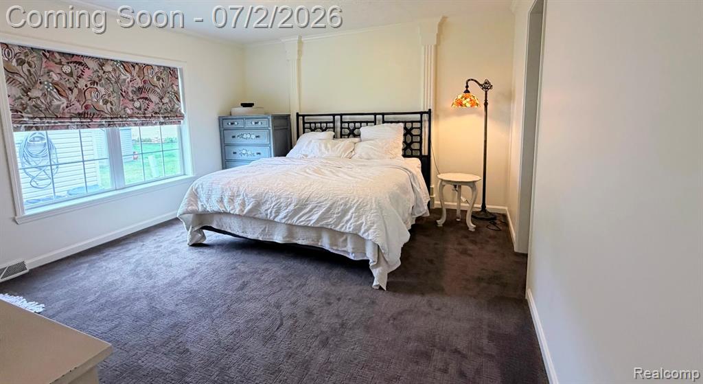29703 Vinewood Lane Property Photo 11