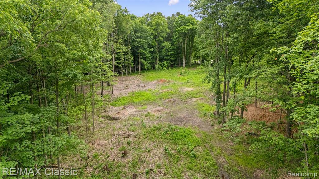 7888 N Territorial Property Photo 5