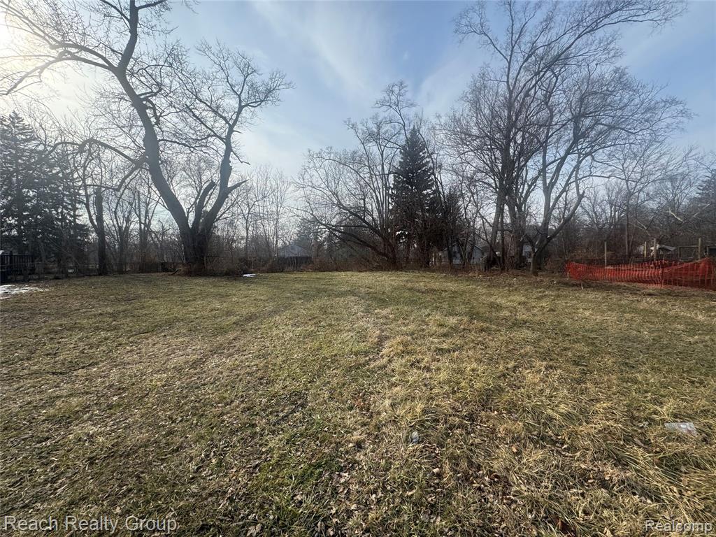14199 Burt Road Property Photo 1