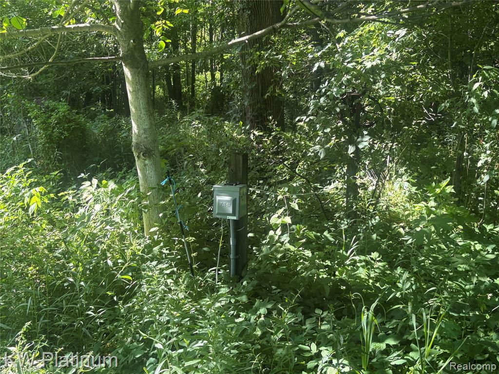 7280 North Road Property Photo 2
