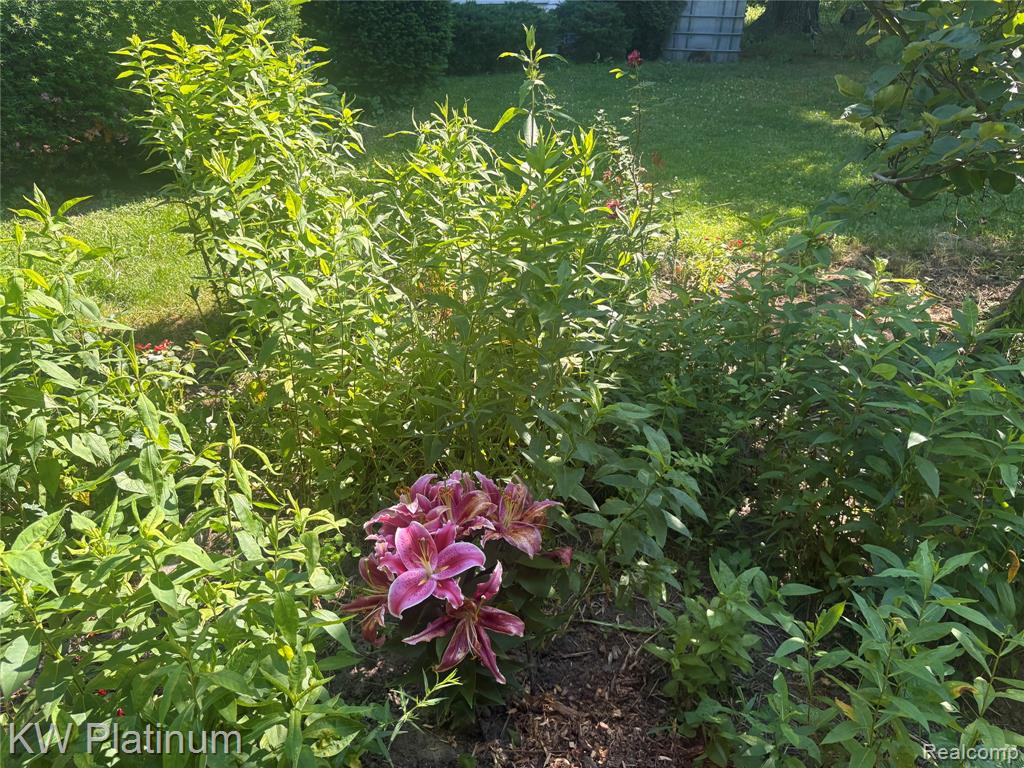 7280 North Road Property Photo 32