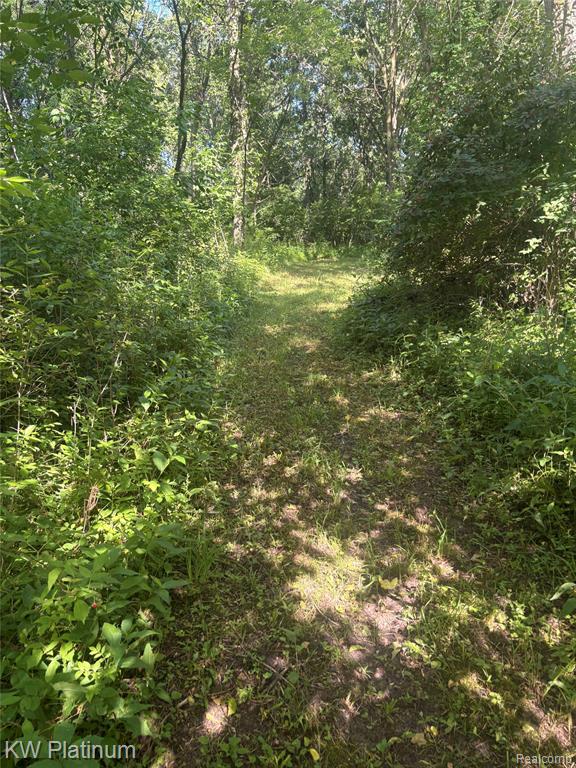 7280 North Road Property Photo 33