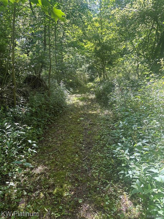 7280 North Road Property Photo 34
