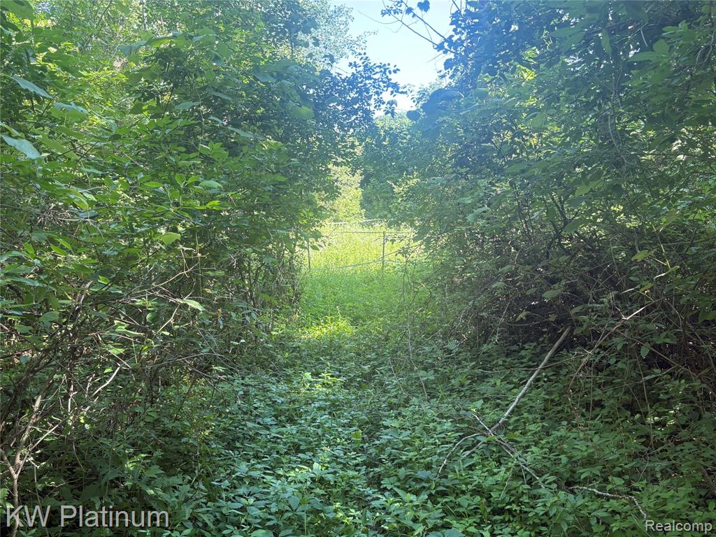 7280 North Road Property Photo 37