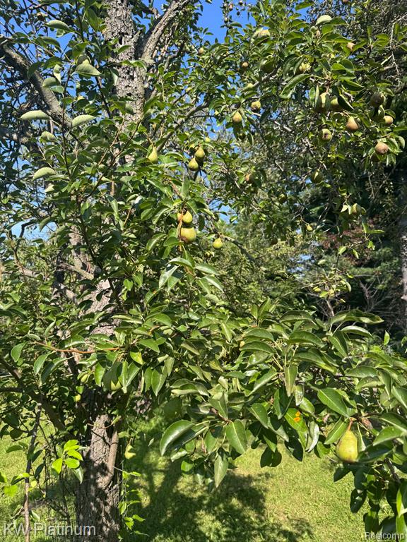 7280 North Road Property Photo 42