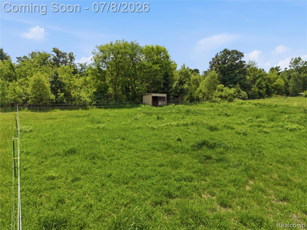 253 Park Street Property Photo 13