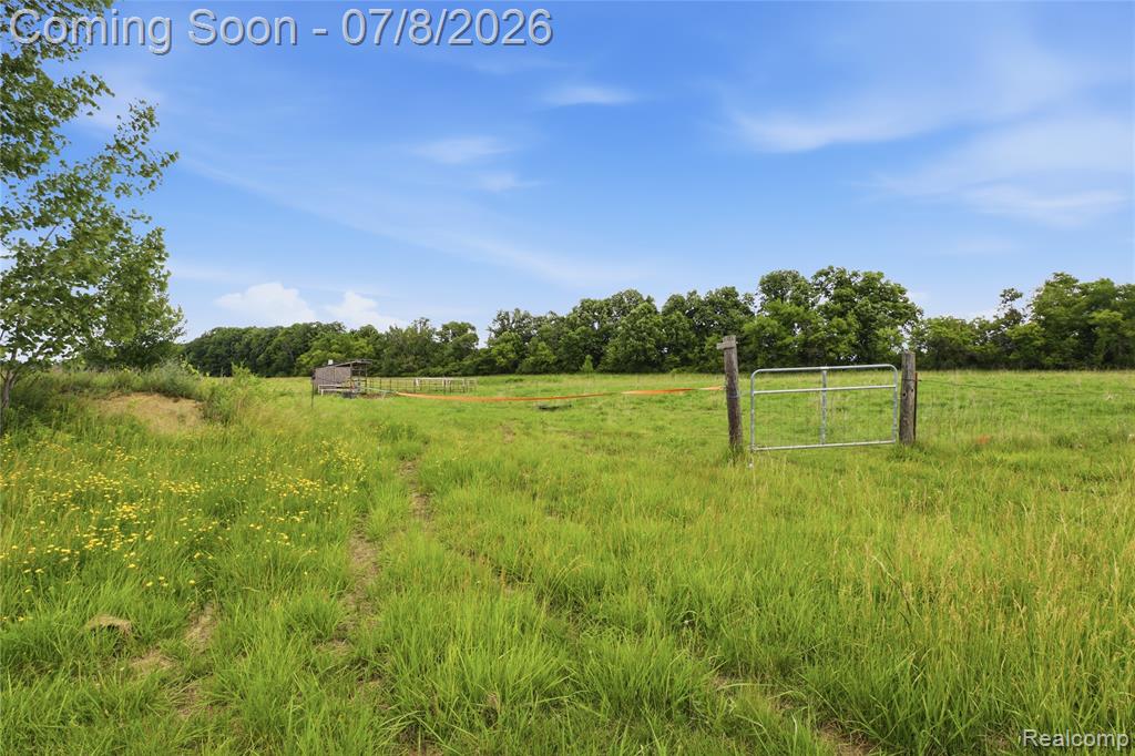 253 Park Street Property Photo 15